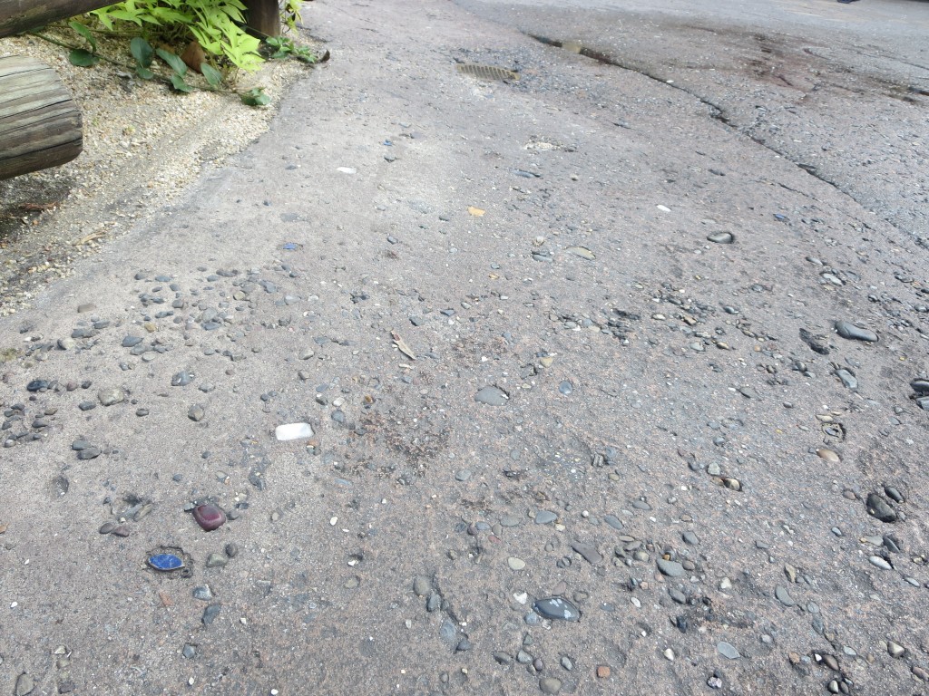 Adventureland Jewels