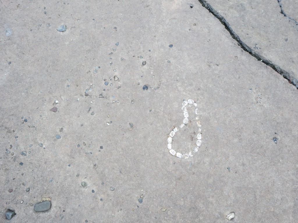 Adventureland Jewels 2