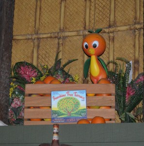 Orange Bird2