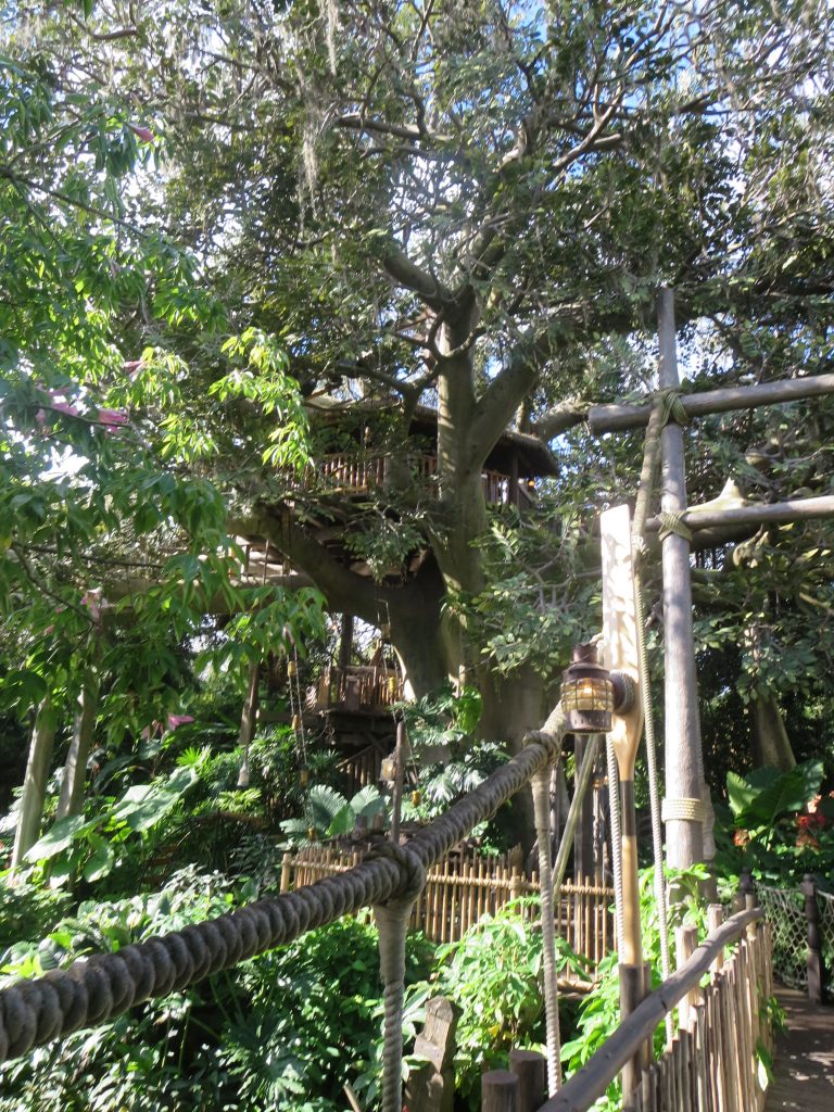 It's an impressive treehouse, to say the least!