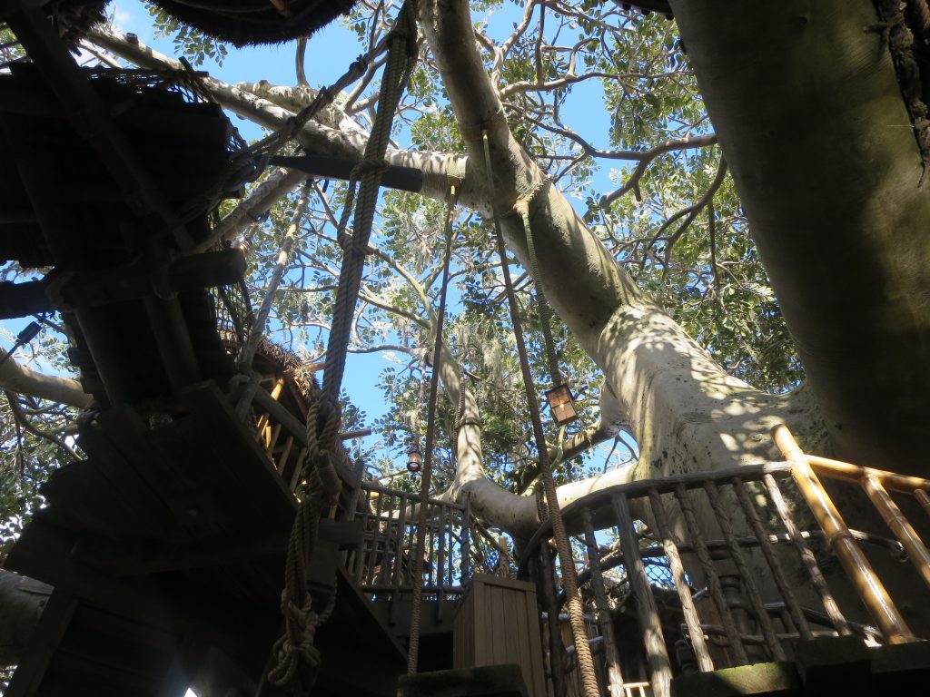 Treehouse up