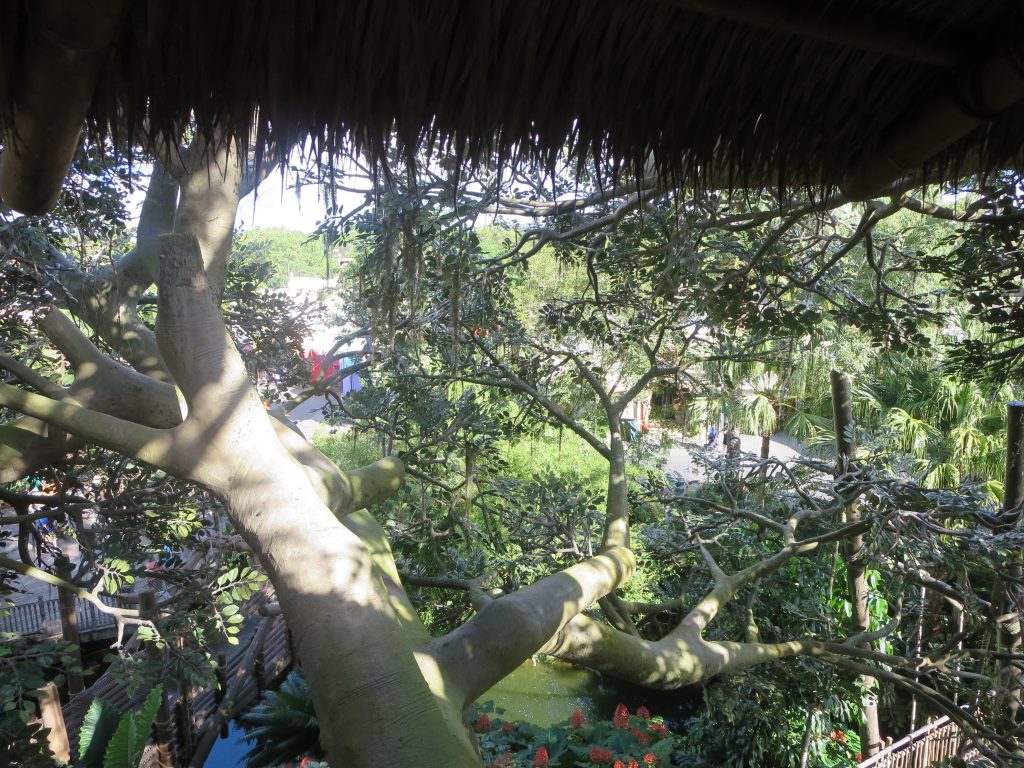 Treehouse wide