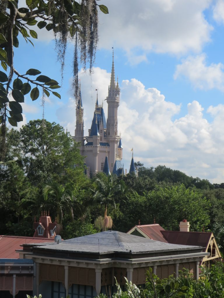 A zoomed-in photo of Cinderella Castle from the Swiss Family Treehouse.