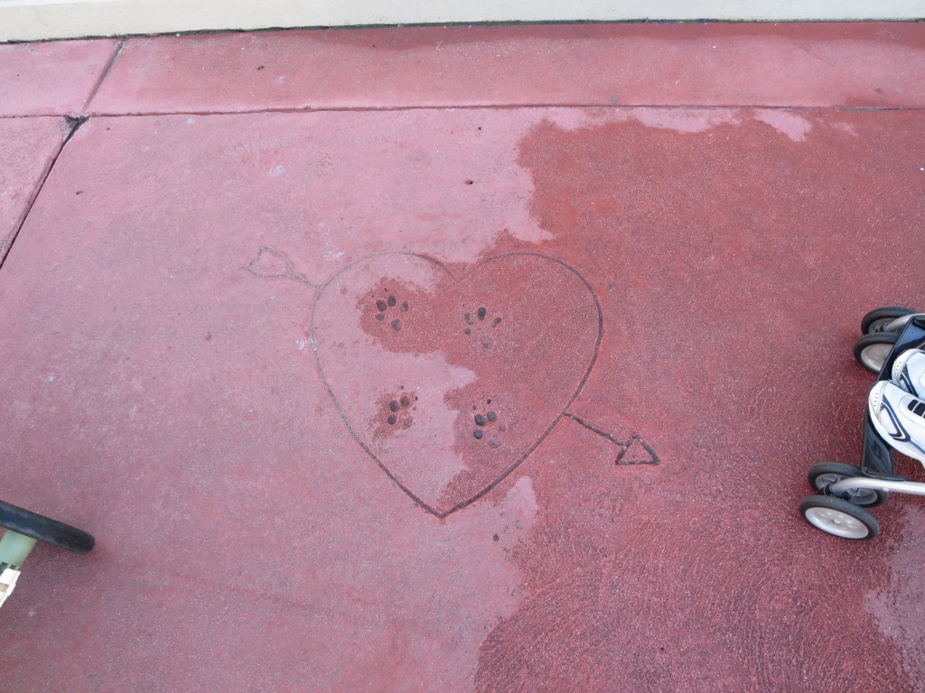 Secrets & Fun Facts at The Magic Kingdom