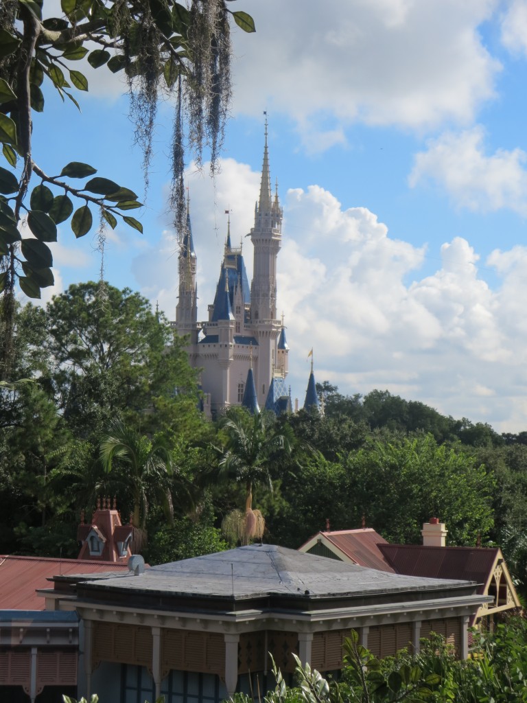 Wordless Wednesday: A Different Perspective